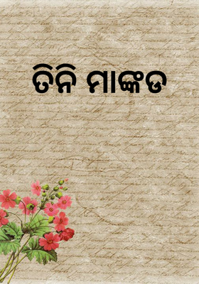 ତିନି ମାଙ୍କଡ