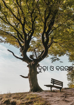 ବୁଢ଼ା ଓ ବରଗଛ