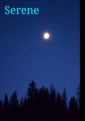 Serene Sleep