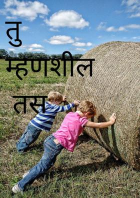 तु म्हणशील तस