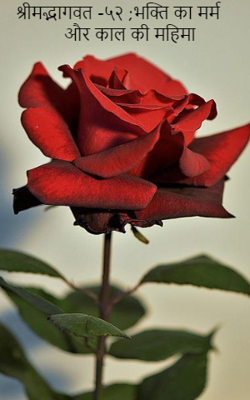 श्रीमद्भागवत -५२ ;भक्ति का मर्म और काल की महिमा