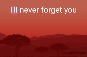 I'll never forget you