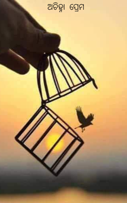 ଅଚିହ୍ନା  ପ୍ରେମ