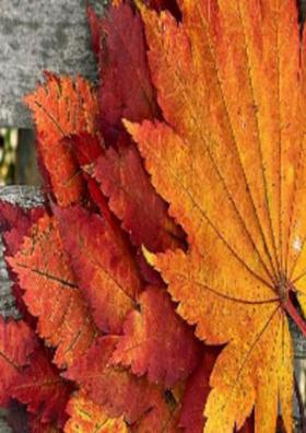 दुआ से रहे