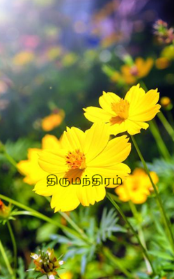 திருமந்திரம்