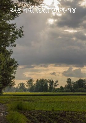 એક નવી દિશા - ૧૪