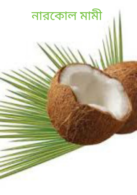 নারকোল মামী