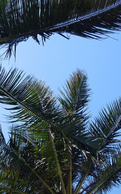 ତଥାପି ମୋ ଗାଁ ହସୁଛି