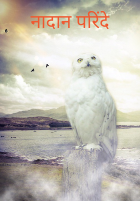 नादान परिंदे