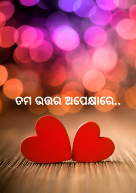 ତମ ଉତ୍ତର ଅପେକ୍ଷାରେ..