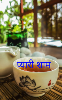 प्यारी शाम