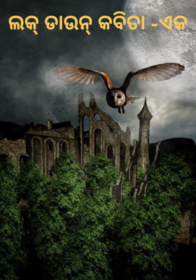 ଲକ୍ ଡାଉନ୍ କବିତା -ଏକ