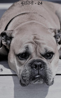 बुरातिनो - 24