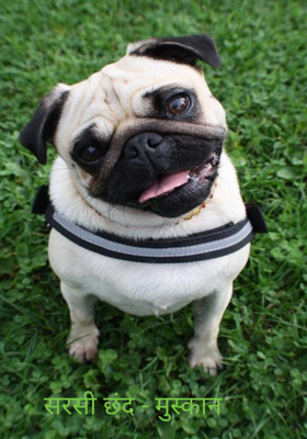 सरसी छंद - मुस्कान 