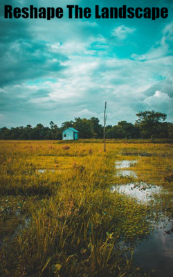 Reshape The Landscape