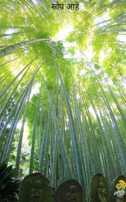 सोपं आहे