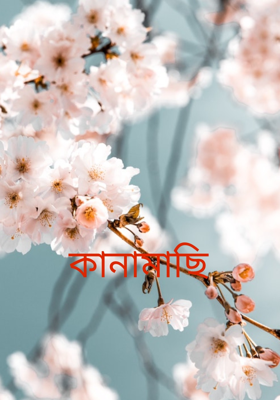 কানামাছি 