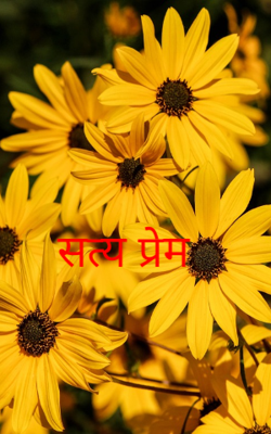 सत्य प्रेम