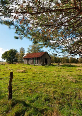 આ જન્મારો