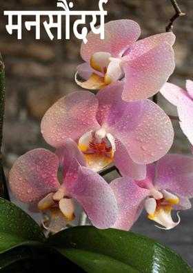 मनसौंदर्य