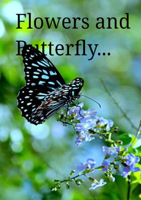 Flowers and Butterfly