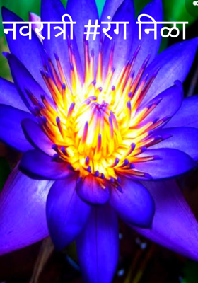 नवरात्री रंग निळा
