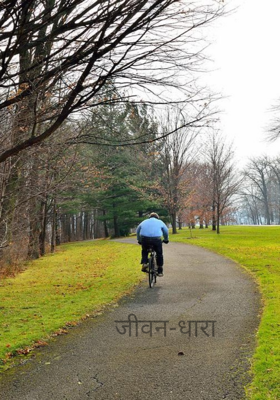 जीवन-धारा