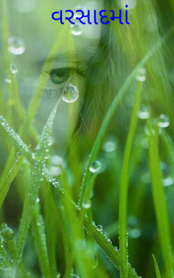 વરસાદમાં