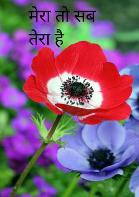 मेरा तो सब तेरा है