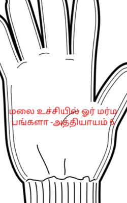 மலை உச்சியில் ஓர் மர்ம பங்களா -அத்தியாயம் 6
