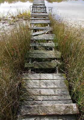 गिनिये न