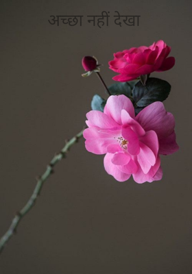 अच्छा नहीं देखा