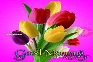 लफ्जों के हर लुगात ने खामोश कर दिया।
मुझको चला गया है वह जाने क्यों छोड़ कर।

वादा था साथ छोड़ेंगे न आखरी दम तक।
लेकिन चला गया वो मुंह मुझसे मोड़ कर।