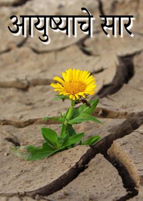 आयुष्याचे सार