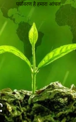 पर्यावरण है हमारा आंचल