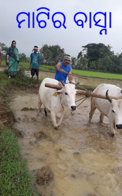 ମାଟିର ବାସ୍ନା