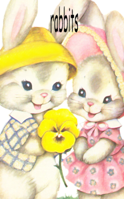 Rabbits