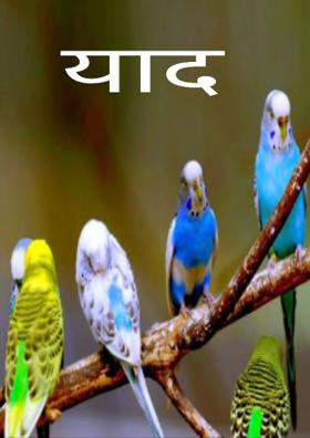 याद