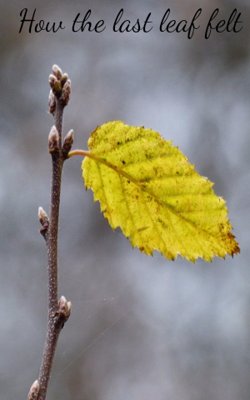 How The Last Leaf Felt
