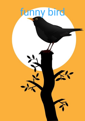 Funny Bird