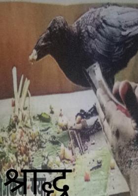 श्राद्ध