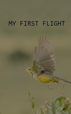 My First Flight