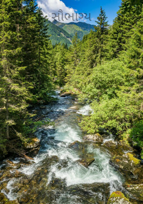 સૌભાગ્ય