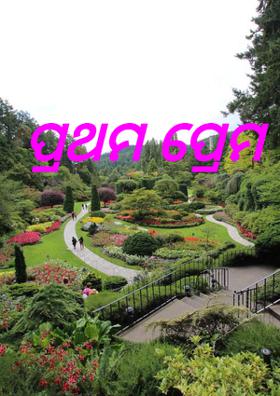 ପ୍ରଥମ ପ୍ରେମ