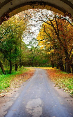 अद्भुत साया 