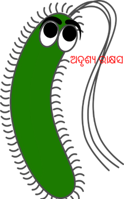 ଅଦୃଶ୍ୟ ରାକ୍ଷସ