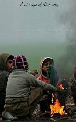 An Image of Diversity