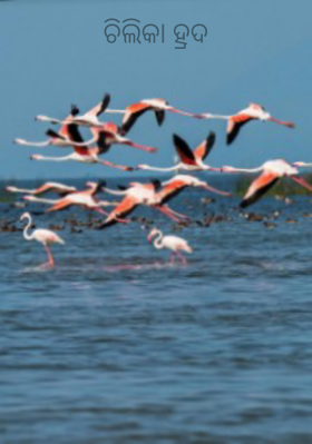 ଚିଲିକା ହ୍ରଦ