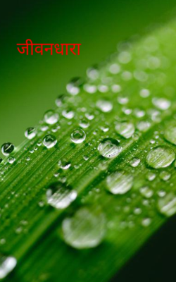 जीवनधारा