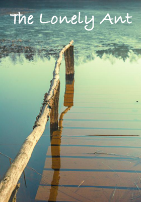 The Lonely Ant